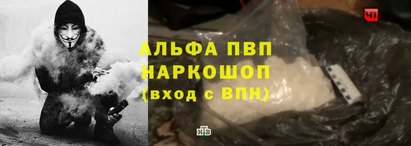 бошки Гусев