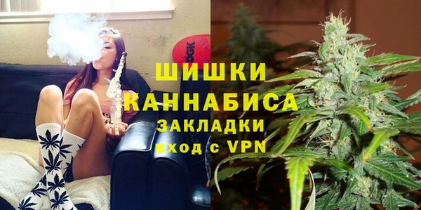 бошки Гусев