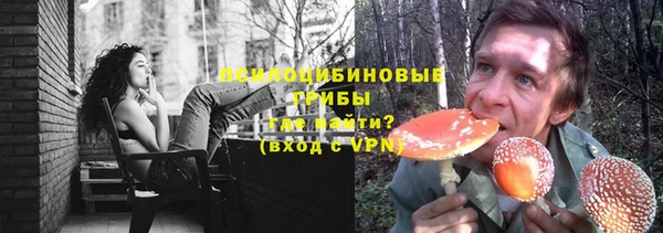 бошки Гусев