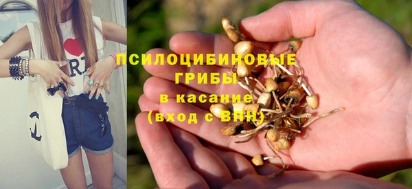 mdma Гусь-Хрустальный