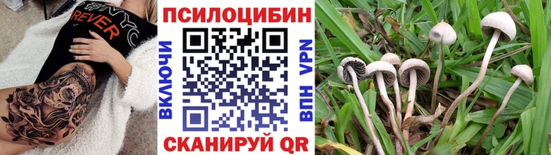 Галлюциногенные грибы Magic Shrooms  ссылка на мегу сайт  Кисловодск  купить наркотик 